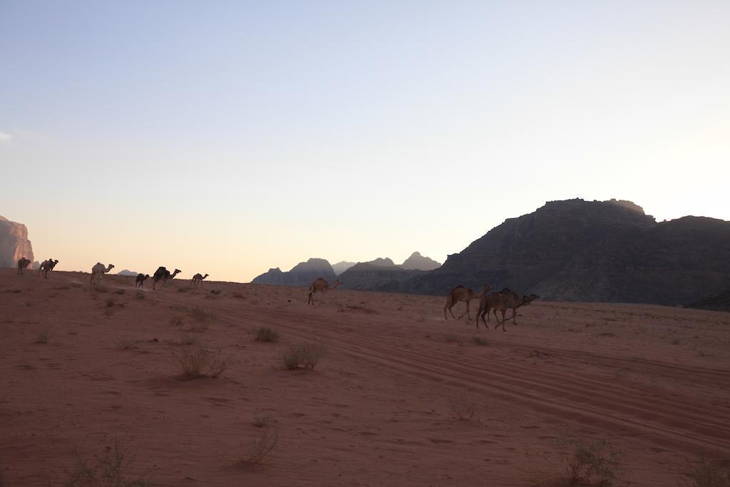 Bedouin Expedition Wadi Rum Exteriér fotografie