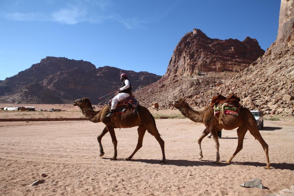 Bedouin Expedition Wadi Rum Exteriér fotografie