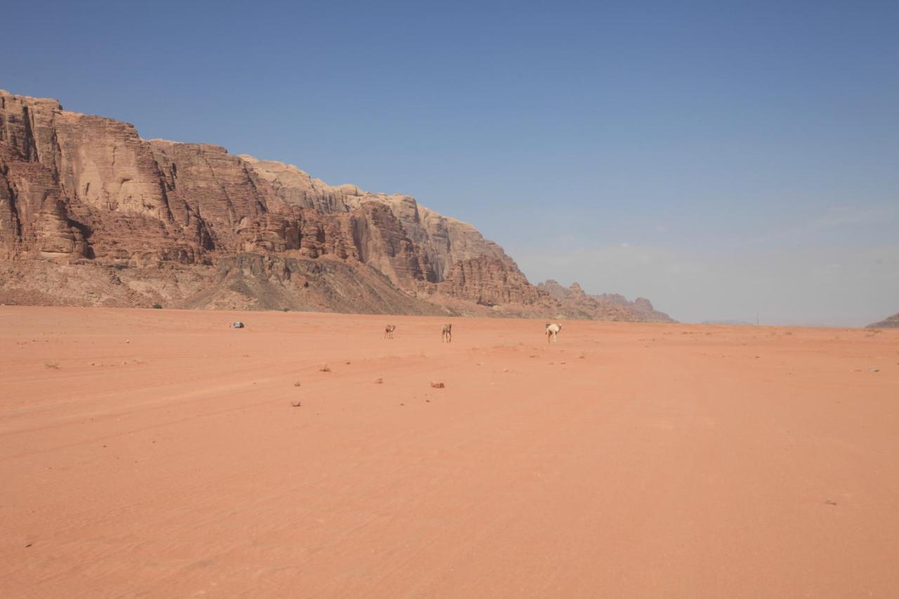 Bedouin Expedition Wadi Rum Exteriér fotografie
